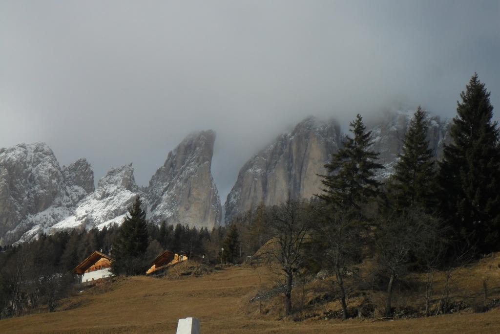 Appartamenti Vincenzo E Marcella Campitello di Fassa Dış mekan fotoğraf